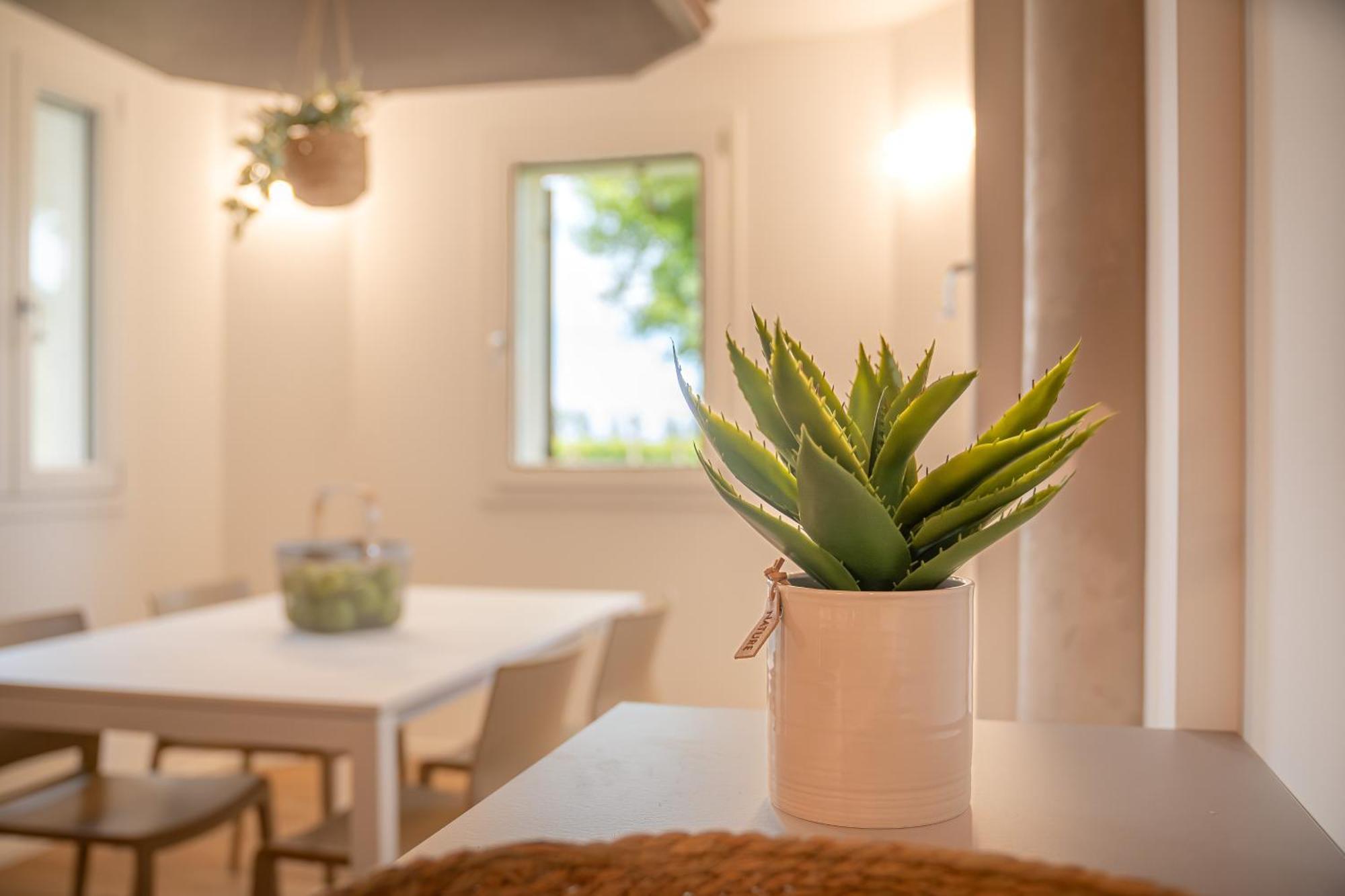 Barchessa Cappelletto Aparthotel Torre di Mosto Ngoại thất bức ảnh