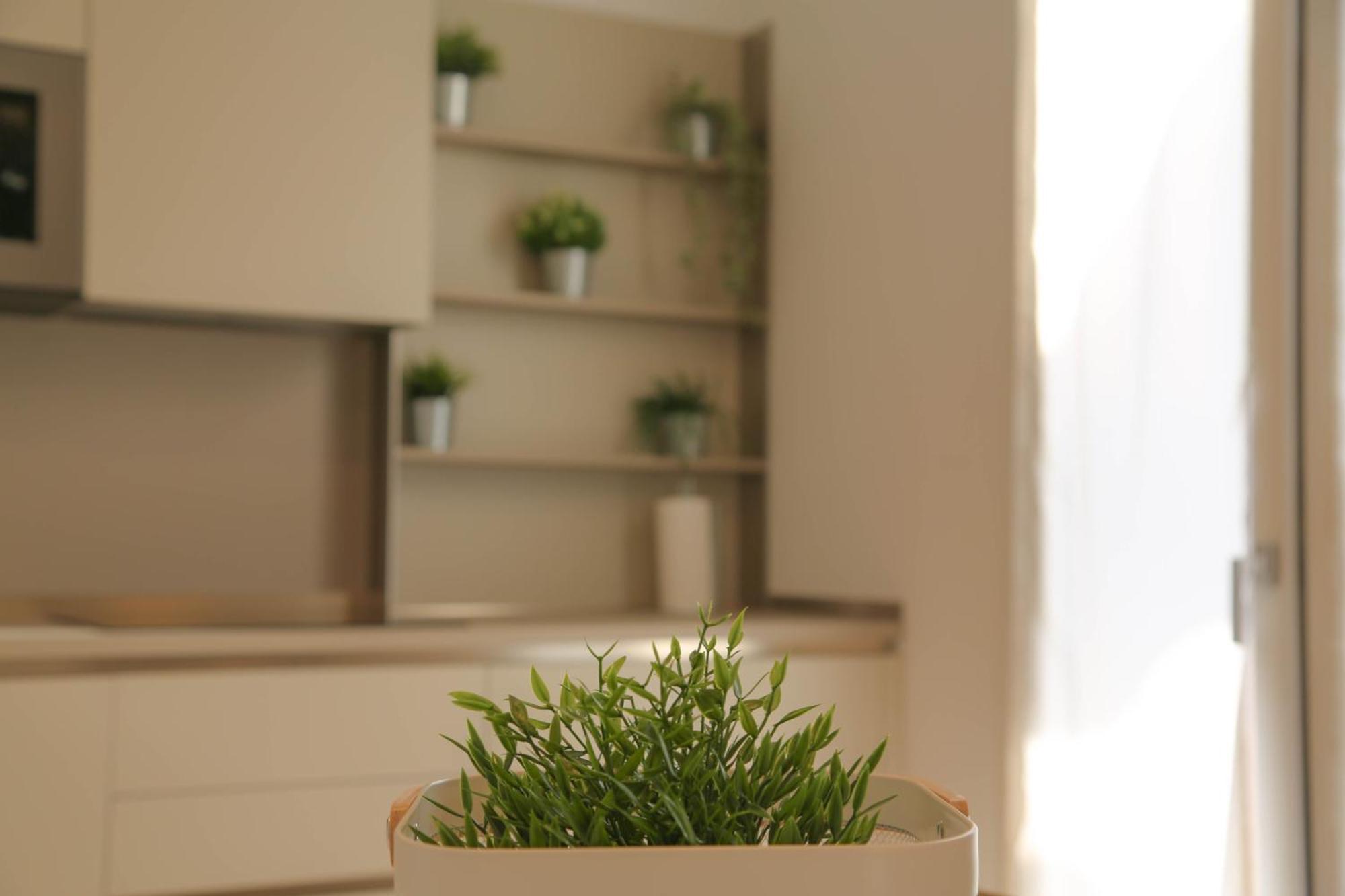 Barchessa Cappelletto Aparthotel Torre di Mosto Ngoại thất bức ảnh